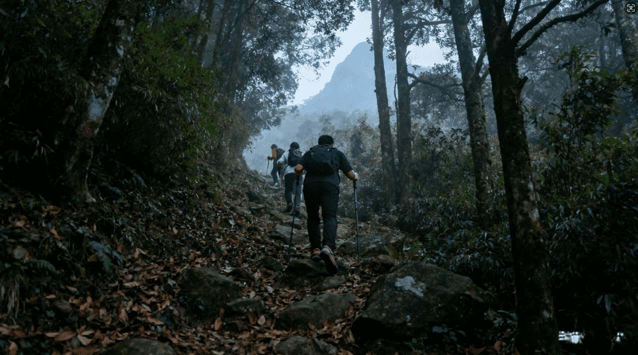 暴喵加速器正式版下载网址分享